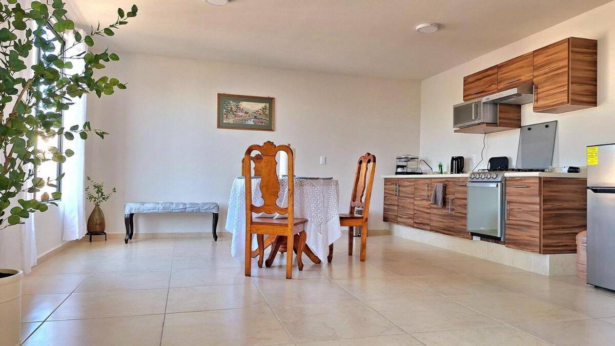 산루이스포토시주 Departamento Tequis, Totalmente Nuevo En El Corazon De Slp 아파트 외부 사진