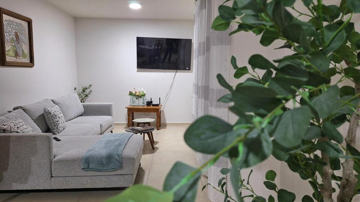 산루이스포토시주 Departamento Tequis, Totalmente Nuevo En El Corazon De Slp 아파트 외부 사진